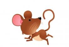 出生于1996年屬鼠人2021年命運如何  適合佩戴什么吉祥物