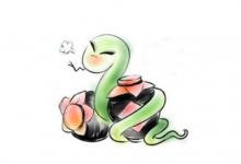 2001年是什么屬相