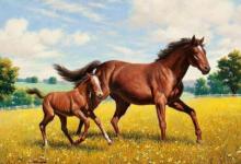 2014年是什么屬相