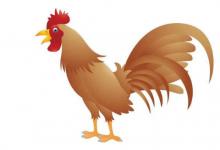 出生于1969年屬雞人2021年命運如何  適合佩戴什么吉祥物