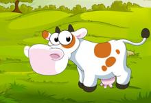 屬牛2021年本命年適合開公司去創(chuàng)業(yè)嗎?