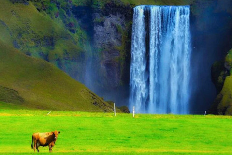 農(nóng)歷二月初五出生的人運勢分析