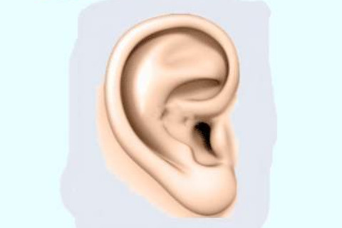 婚后帶旺丈夫運勢的面相分析