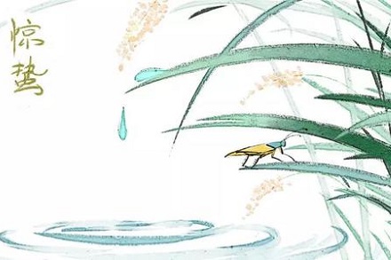 2020年驚蟄出生的女孩好不好?五行缺土如何取名?(圖文)