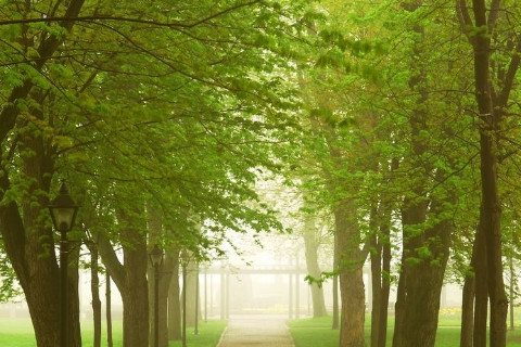 男人命中五官殺代表了什么