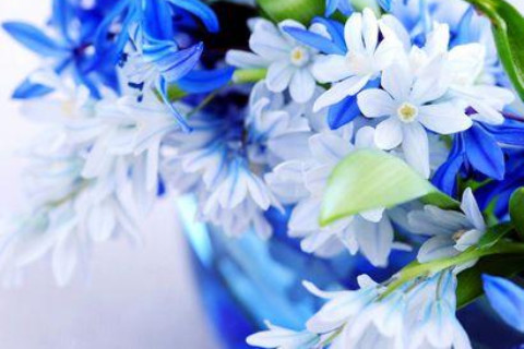 農(nóng)歷初十出生的人命運(yùn)如何