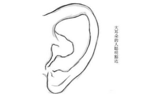 三大女人旺夫面相特征