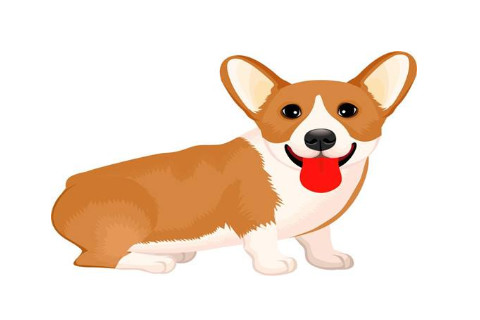 2006年屬狗男女2021年運勢 15歲生肖狗男女2021年每月運勢