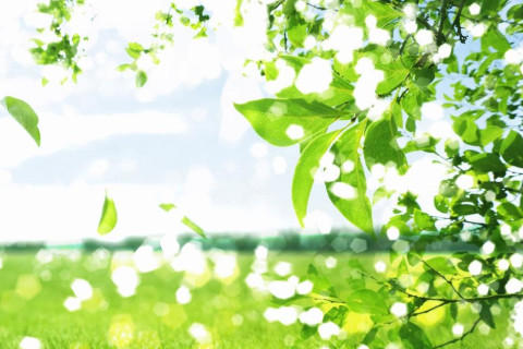 農歷初十出生的人運勢分析