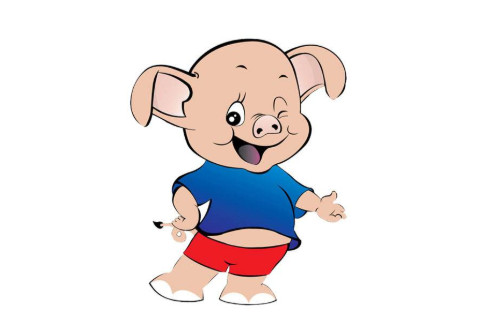 1971年屬豬男女2021年運勢 50歲生肖豬男女2021年每月運勢