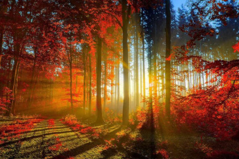 農(nóng)歷初三出生的人好不好