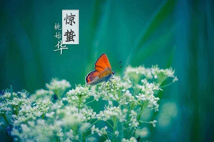 2020年驚蟄節(jié)氣出生的男寶寶五行缺土取名精選(圖文)