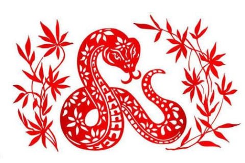 2013年屬蛇虛歲9歲逢九的運勢如何