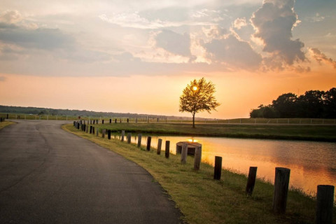 農(nóng)歷初七出生的人運(yùn)勢(shì)分析