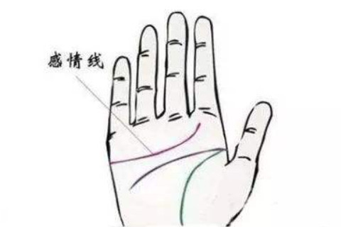 感情線太長的人好不好