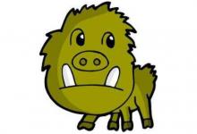 1947年屬豬男女2021年運勢 74歲生肖屬豬男女2021年每月運勢