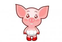 1959年屬豬62歲逢九的運(yùn)勢如何