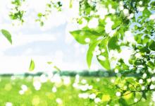 農(nóng)歷初十出生的人運(yùn)勢(shì)分析