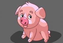 1959年屬豬虛歲63歲逢九運勢如何