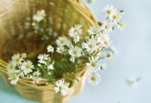 農(nóng)歷初七出生的人好不好