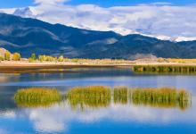 2020年農歷三月十五日女寶寶八字喜土名字推薦