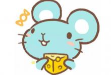 1960年生肖屬鼠人運勢分析