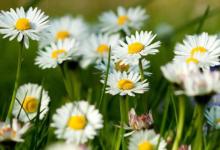 農(nóng)歷二十出生的人好不好