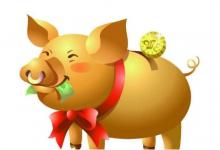 出生于豬年的人適合和誰做朋友