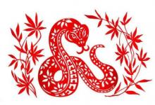 2013年屬蛇虛歲9歲逢九的運勢如何