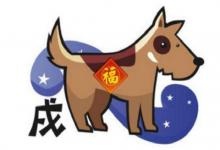 1946年屬狗男女2021年運勢 75歲生肖狗男女2021年每月運勢