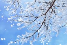 婚后會變得富有的人手相