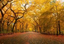 農歷初三出生的人運勢分析