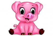 屬相豬人在牛年的風水注意事項