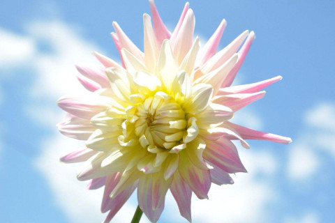 農歷六月二十一日出生的人命運如何