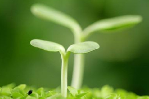 農(nóng)歷六月十八出生的人好不好