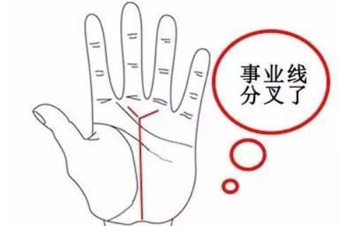 事業線手相分析(二)
