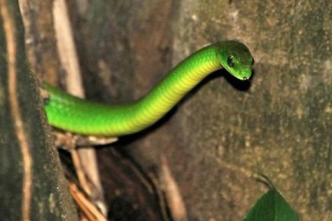 2020年屬蛇的辦公室風(fēng)水禁忌