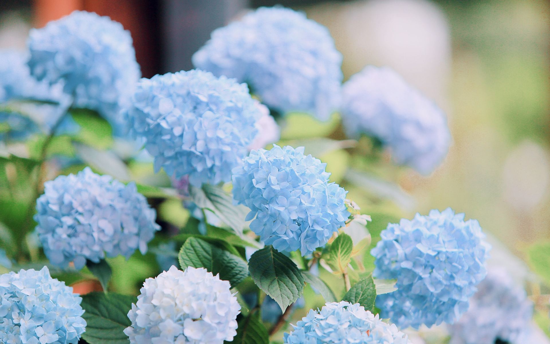 2020年農歷六月初三出生的男孩五行起名 男寶寶取名大全(圖文)