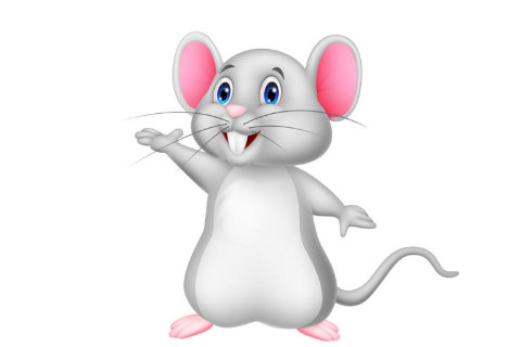 屬鼠人最倒霉的年紀