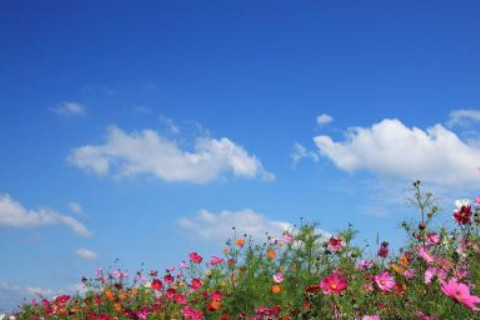 農歷六月二十七日出生的人運勢分析
