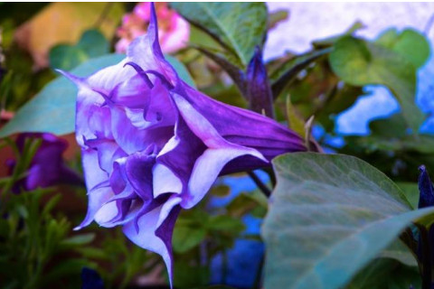 農(nóng)歷六月二十六日出生的人運勢分析