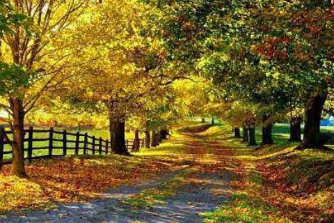 農歷六月十八出生的人命運如何