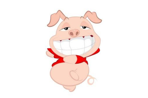 屬豬人男孩吉祥的名字宜用字