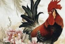 女雞男兔是不是好的姻緣？他們會是甜蜜的一對嗎？