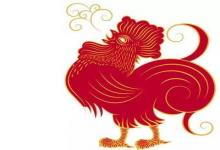 男雞女虎是對的那個人嗎?他們結婚能獲得幸福嗎?