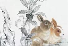 女兔男猴婚姻最終會怎么樣?