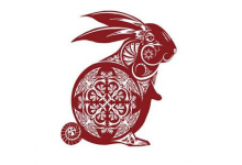 男兔女兔能不能相配?