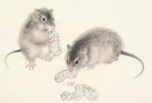 女鼠男牛相配嗎 他們的婚姻狀況如何?