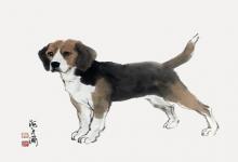 男狗女雞結婚合適嗎?兩個人性格會不會不合?