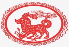 男雞女狗一起結婚怎么樣 會合適嗎?